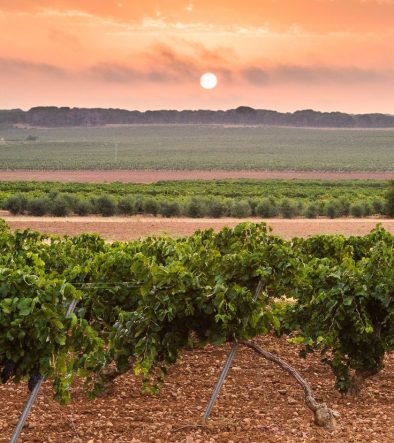 7f712660b771cf5ab60cf75919f19fb2